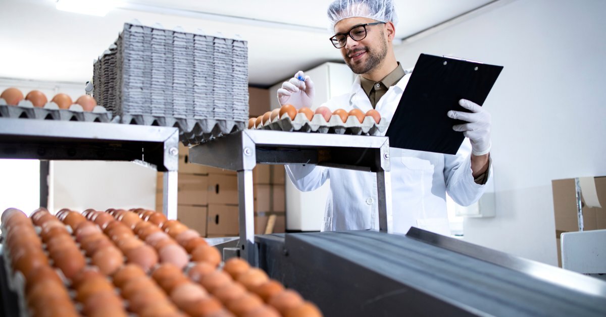 Food safety worker in lab coat and hairnet checks eggs on trays while holding a clipboard in a processing room.