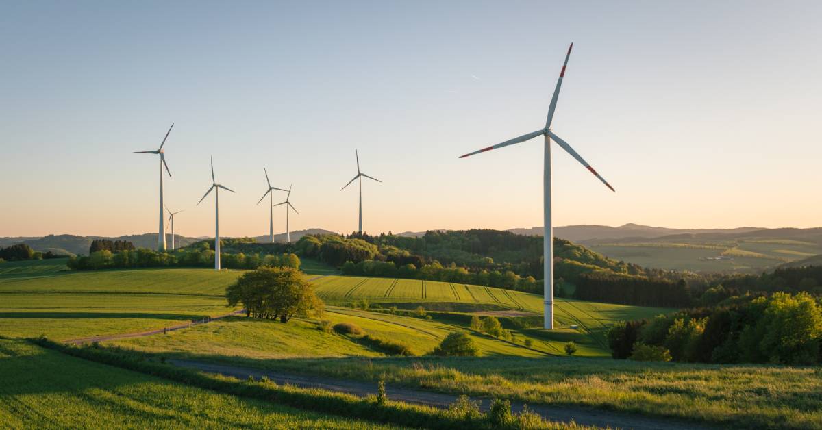 A collection of wind turbines stands in a green field with trees and hills. The sky is blue and the wind turbines are white.