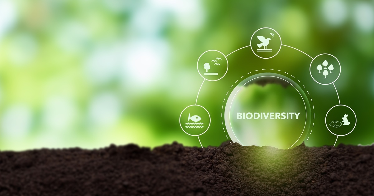 A green glass globe displays "biodiversity" in white. It's surrounded by circular icons, including a bird and a fish.