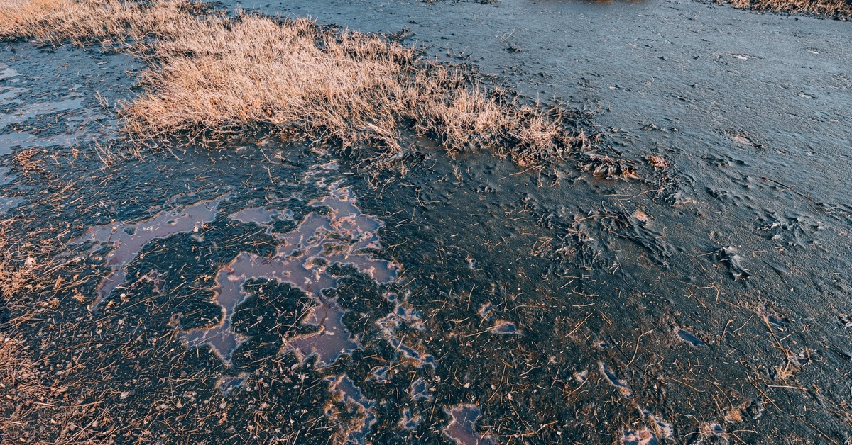 Spilled black oil fills the frame. Small patches of dead grass stick up from the ground, indicating damage to the environment.