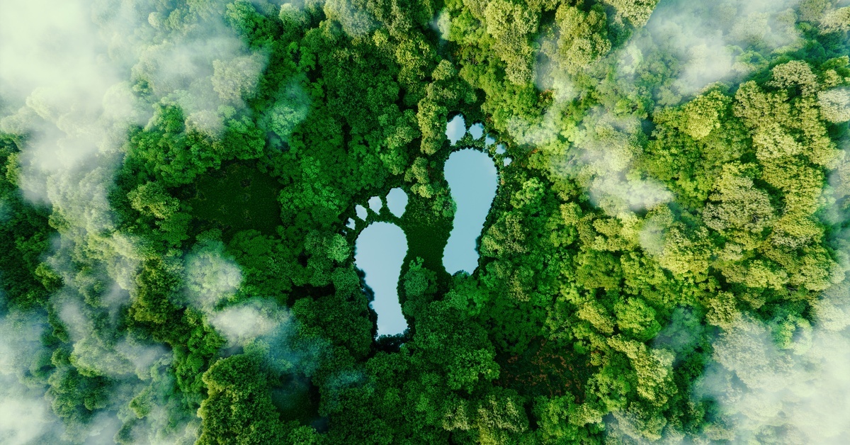 Two lakes shaped like human footprints, as seen from above, surrounded by forest, illustrating human impact.